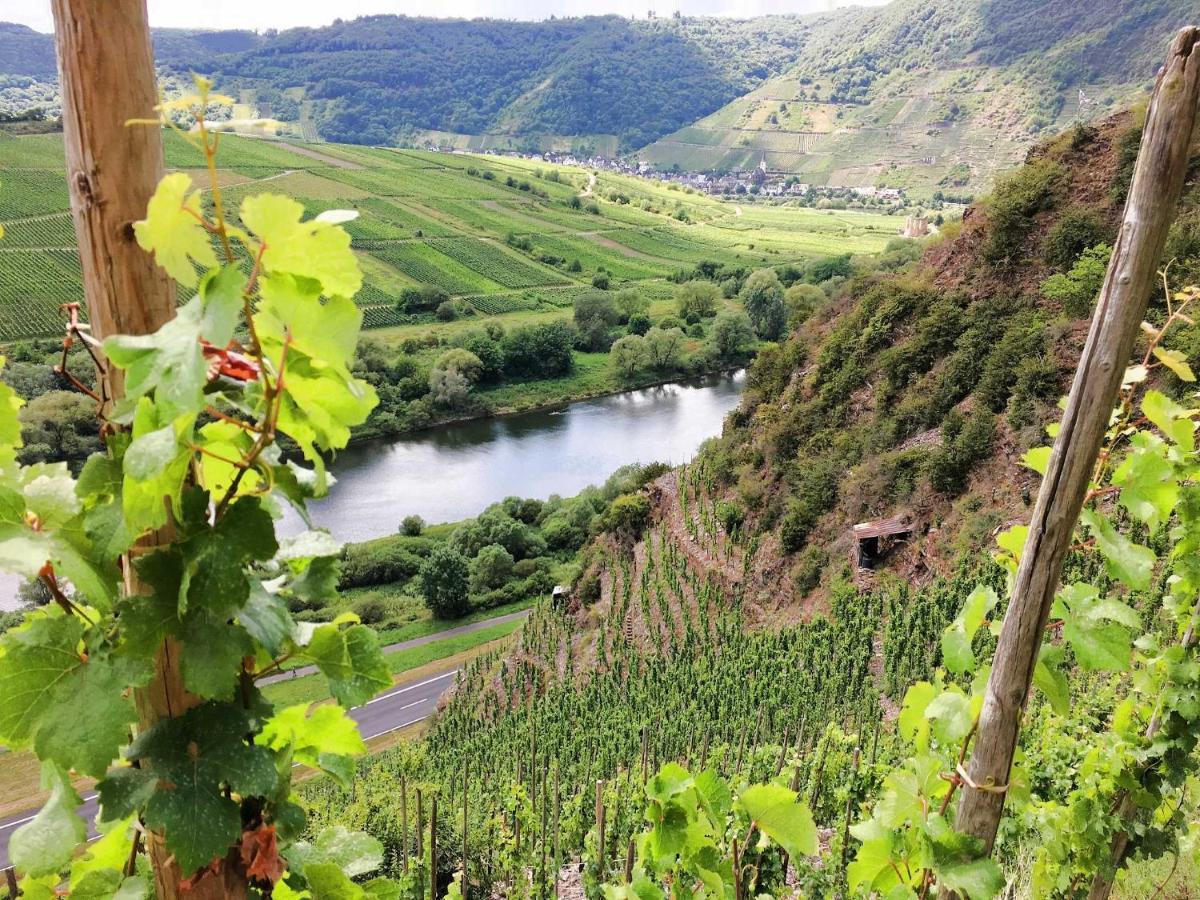 Ferienwohnungen Merl Zell an der Mosel Bagian luar foto